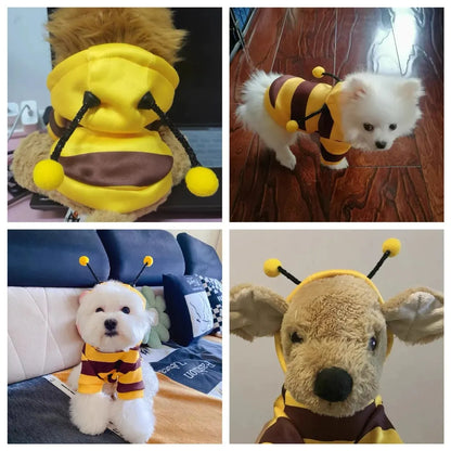 1PCS Dog Clothes For Autumn And Winter Schnauzer Teddy Small Puppy Cat Pet Hoodie Bee Transformation Suit