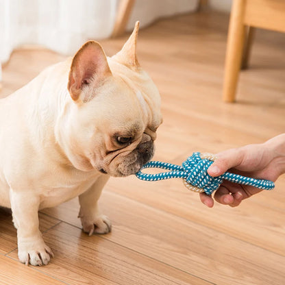 Interactive Cotton Rope Mini Dog Toys Ball for Dogs Accessories Toothbrush Chew Puppy Toy for Large Small Dogs Toy Pet Dog Toy