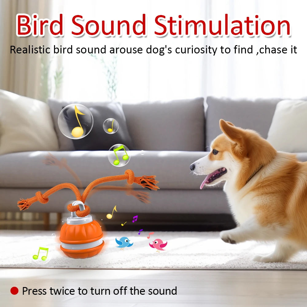 Interactive Dog Toy Ball Motion Activated Smart Dog Toy Automatic Moving Teasing Balls Puppy Cleaning Teeth Chew Toys Knot Rope