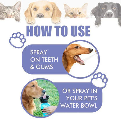 Pet Teeth Cleaning Spray Oral Care Remove Tooth Stains Keep Fresh Breath for Cats and Dogs Whitening  Remove bad breath